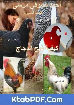 كتاب نقد لقصة ذبح الدجاج للقاص أحمد دسوقي - السيد حسن pdf